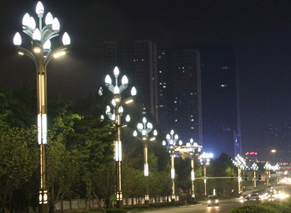 重庆九龙坡区——“玉兰灯”