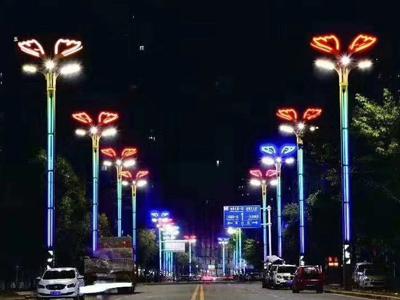 世博光电姜涛户外广场大型异形灯,户外景观灯定制,灯杆带亮化路灯